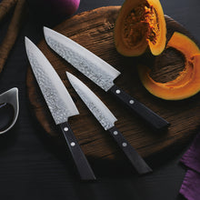 画像をギャラリービューアに読み込む, 兼義作|VG10 三徳包丁